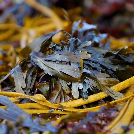 Дом отдыха Townhouse By Trident Homes Килки